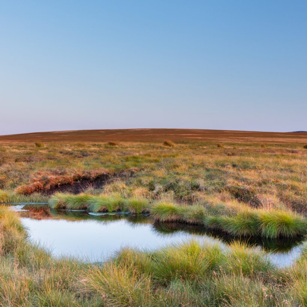 Blanket bogs are worth protecting – carbon