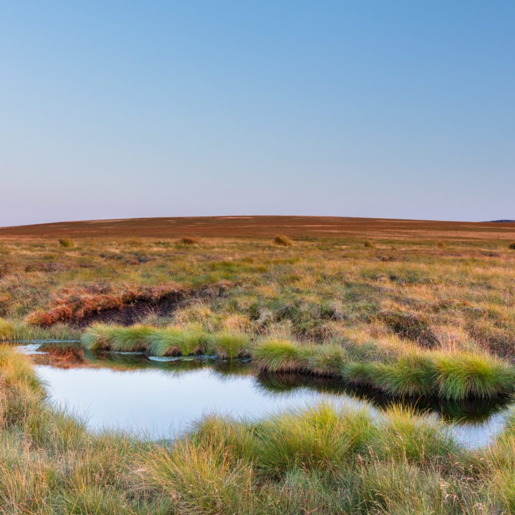 Peat Bog as a Carbon Trap - Moors for the Future