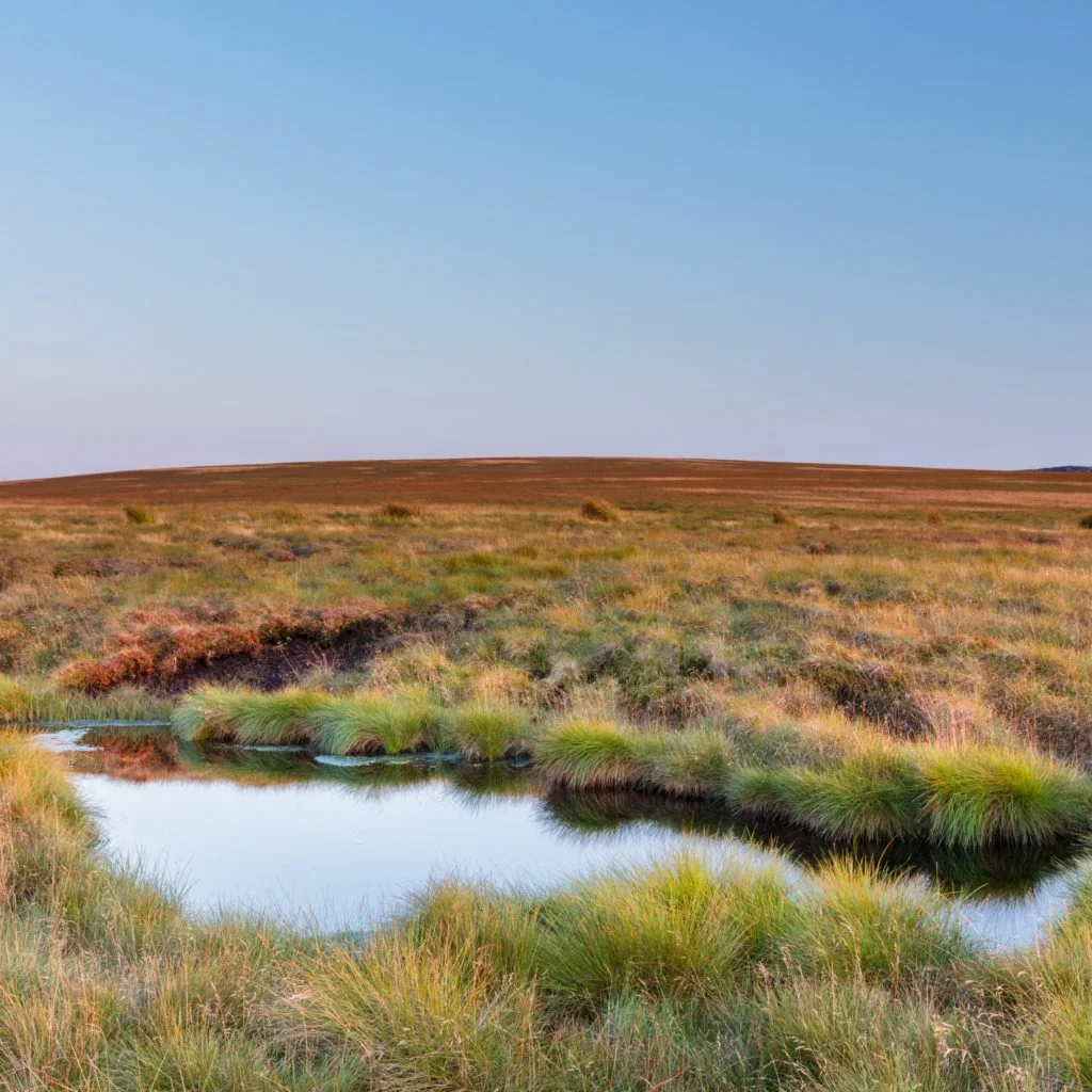 Blanket bogs are worth protecting - carbon 1 Peat Bog as a Carbon Trap - Moors for the Future