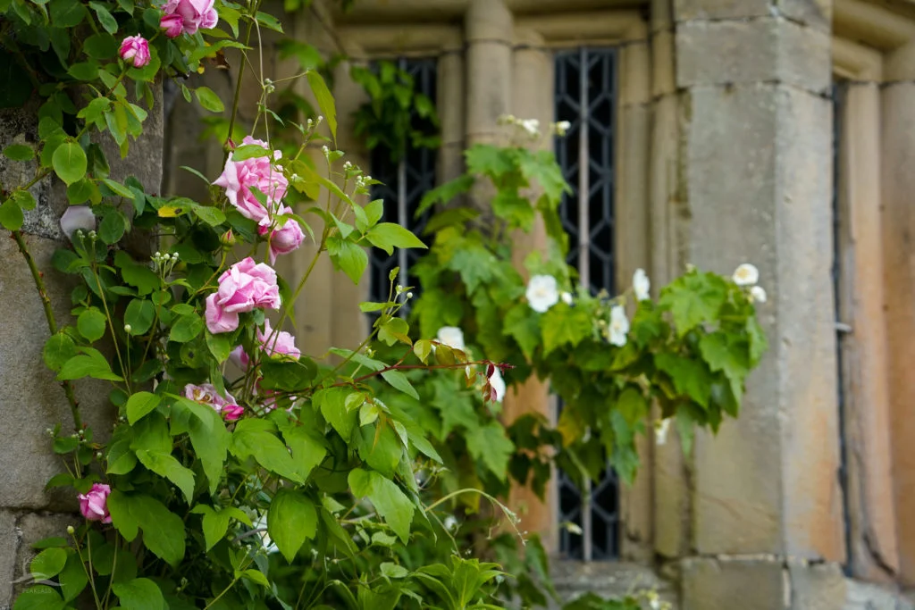 Haddon Hall 11