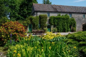 Dovedale Cottage - Holiday Cottage