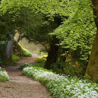 Rewilded Retreats