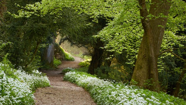 Rewilded Retreats 1 Rewilded Retreats 2