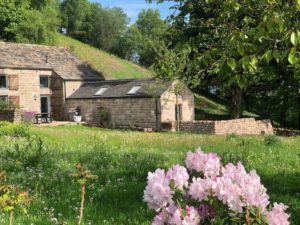 Rocking Stone Cottages 13