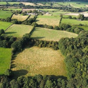 Cow Close Farm by Wild & Other 6