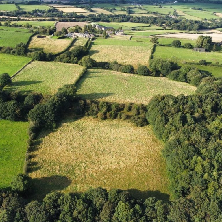 Cow Close Farm by Wild & Other in Baslow, Peak District