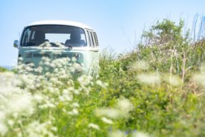 Goboony Peak District Campervan Hire
