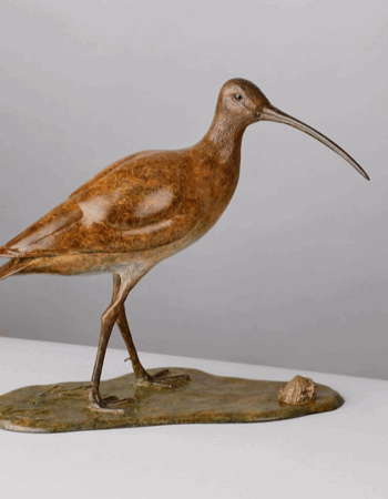 Wildlife Sculptures Ltd – Eddie Hallam