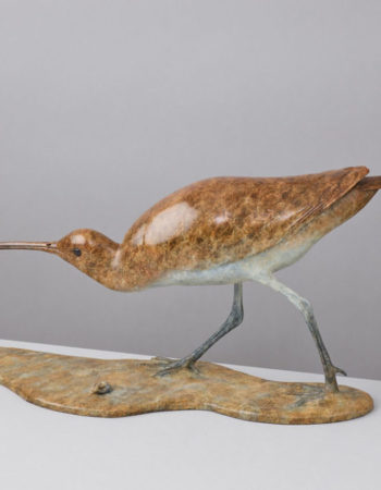Wildlife Sculptures Ltd – Eddie Hallam