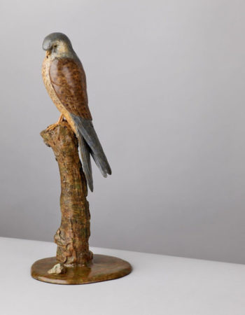 Wildlife Sculptures Ltd – Eddie Hallam