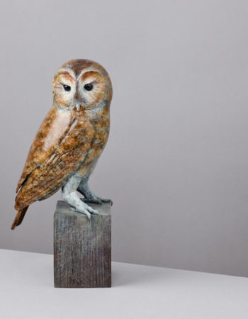Wildlife Sculptures Ltd – Eddie Hallam