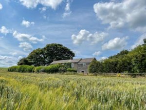 Bruntmoor Cottage & Shepherd Huts