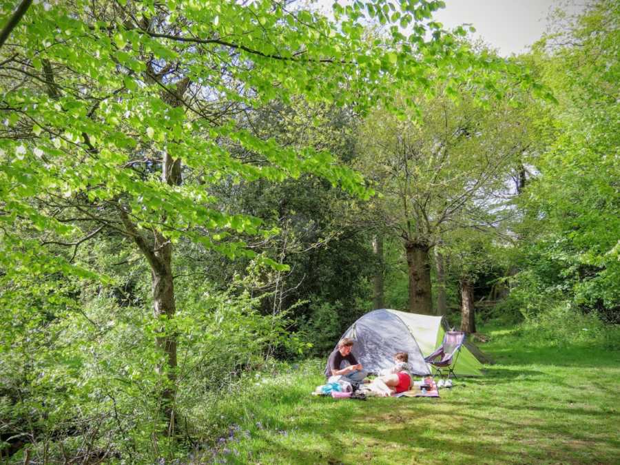 Fieldhead Campsite 7
