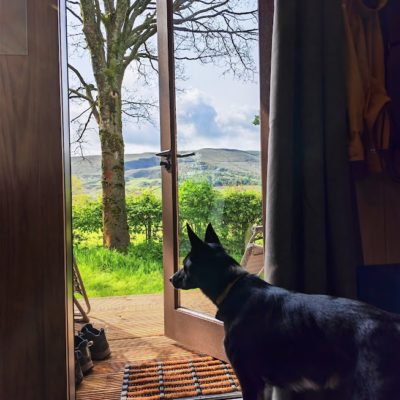 Protected: Fieldhead Campsite