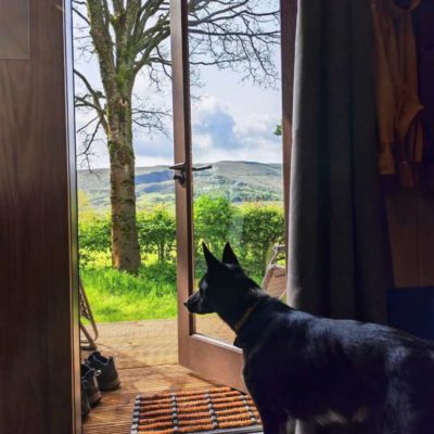 Fieldhead Campsite