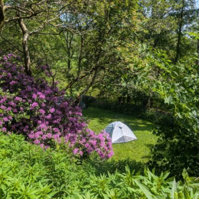 Fieldhead Campsite