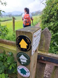 The Peak Wesley Way