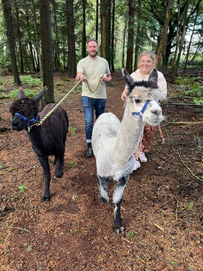 Matlock Farm Park