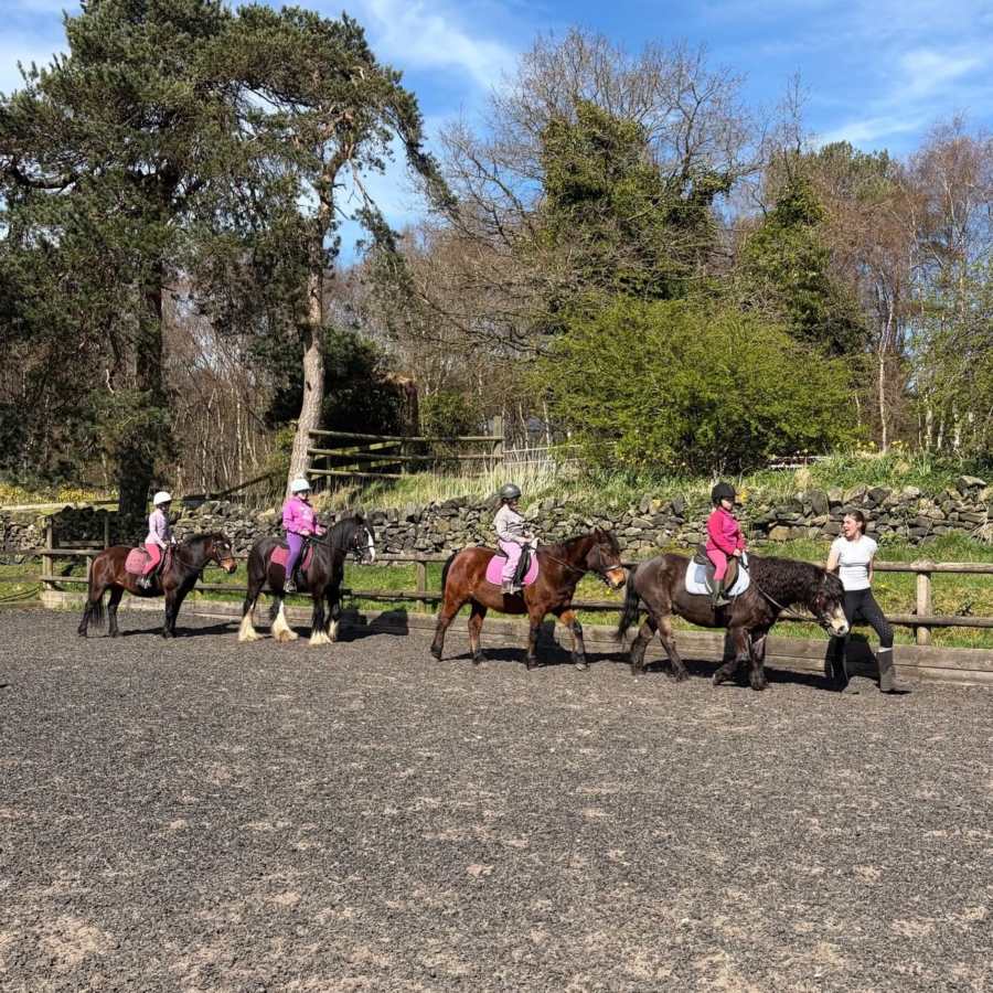 Matlock Farm Park