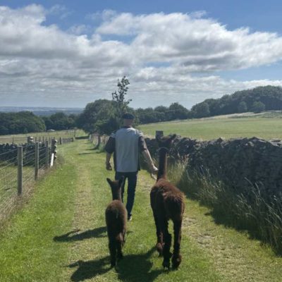 Mayfield Alpacas Farm & Animal Sanctuary